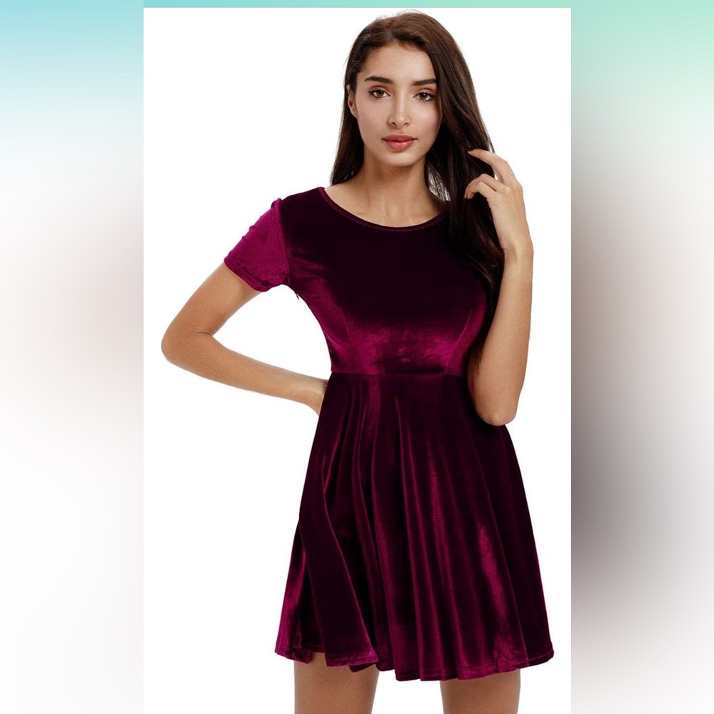 Moxeay Women Short Sleeve Velvet Pleated A-line Skater Mini Dress XL Wine Red